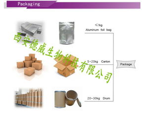 技术赋能下的产品报价策略与市场推广
