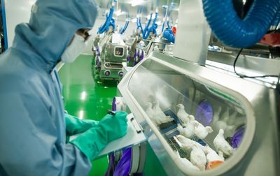 新旧动能转换新引擎 市北生物技术研发中心投入使用，科技创新集聚效应初显