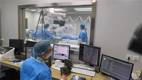 科技前沿新突破 我国首例自主研发介入式脑机接口完成动物试验