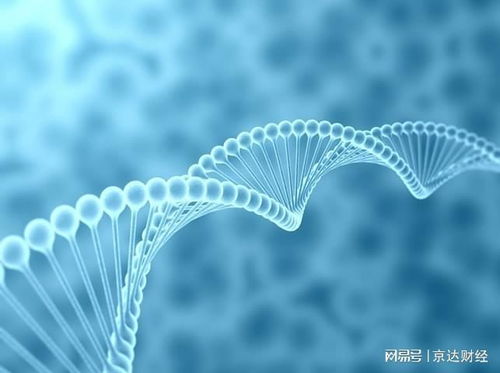 寒冬中的反思 生物科技行业资本冷遇与技术推广的困境