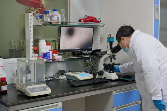 “以生物造万物”风口之下 合成生物产业化正迎来破晓时刻