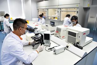 广东省城市建设技师学院生物技术研发 推动城市可持续发展的创新力量