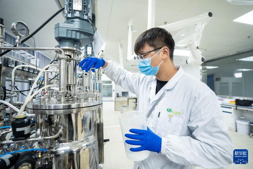 湖南津市 生物制造产业加速发展，技术推广引领产业升级